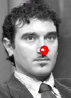 aldo torchiaro giullare