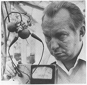 ron hubbard scientology nuovi movimenti religiosi