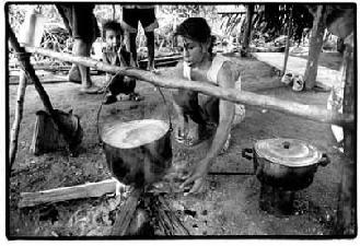 brazilian farmers