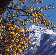 monte summano vicenza